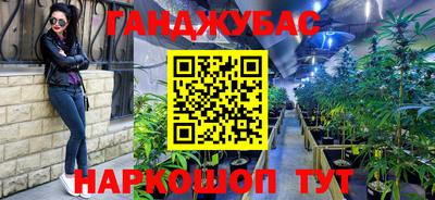 стаф Камышлов