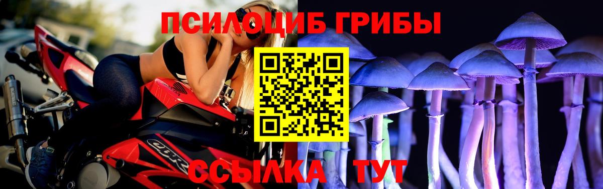 Галлюциногенные грибы прущие грибы  Вход с VPN  Зерноград 